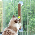 Brinquedo de gato de garra de garra de garra anti-arranhão